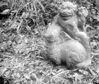 lion et &eacute;l&eacute;phant